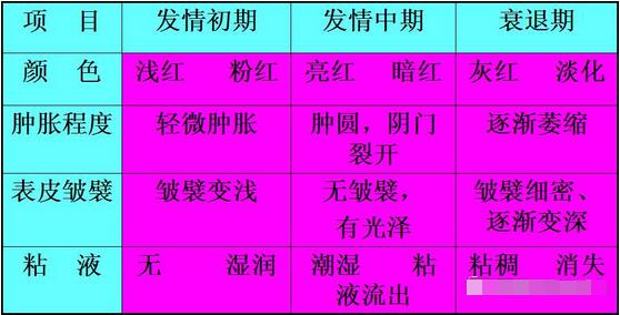 必修课！四图四表教会你如何鉴定母猪发情