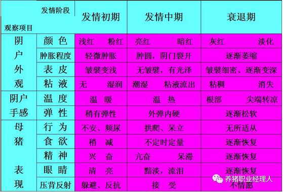 必修课！四图四表教会你如何鉴定母猪发情