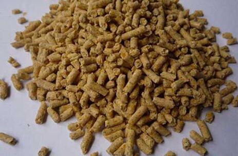 你的猪场该用湿拌料喂猪,还是干粉料,看完这文章就明白了