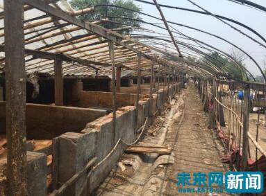 房山30亩土地非法养殖臭气熏天 1人因污染环境罪被刑拘