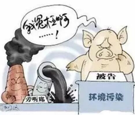分析猪场与环保之间矛盾加剧原因