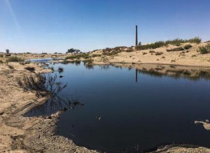 污水、粪便直排,恶臭难散,养猪业污染内蒙古海金山牧场