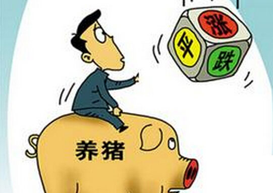 猪肉价格9月份或将反弹上升?三点理由都在这!