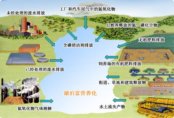 这才是养猪的终极模式，不照做的养猪场可能会倒闭！