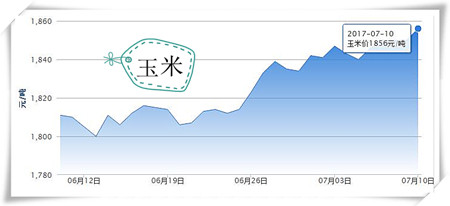 7月10日猪评：业内对猪价走高有信心 后期需警惕屠企压价