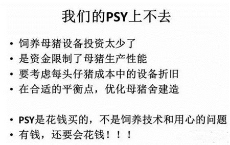 母猪的营养与环境是提高SPY的关键！