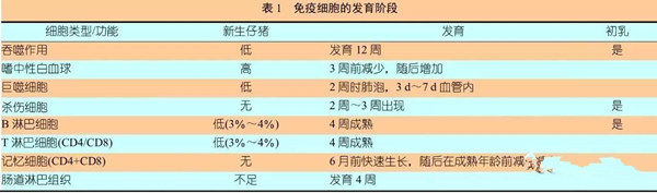 猪场的批次管理——现代猪场先进生产方式介绍!