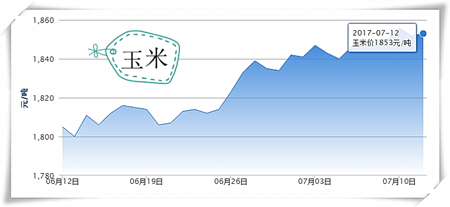 7月12日猪评：大猪将再成打压对象 但猪价下跌空间不大