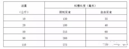 母猪、仔猪管理细节实用经验总结