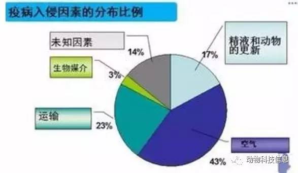 规模猪场生物安全体系关键环节,做好了就能控制疫病!