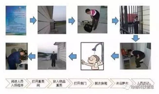 规模猪场生物安全体系关键环节,做好了就能控制疫病!