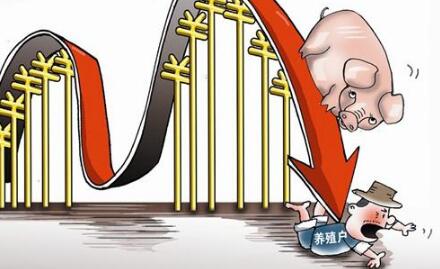 令养猪人闻风丧胆的“猪周期”究竟是什么？