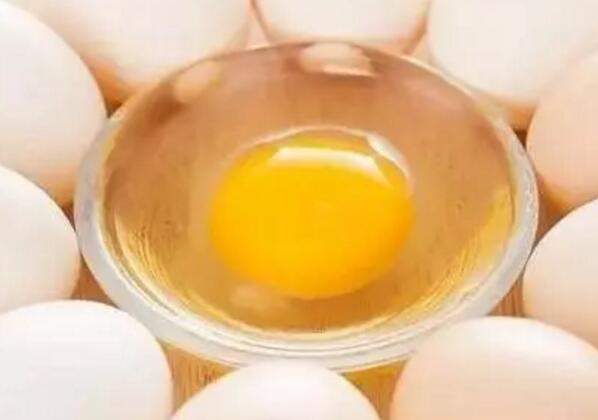 给猪注射鸡蛋清,既可以增重,又可以治猪病!