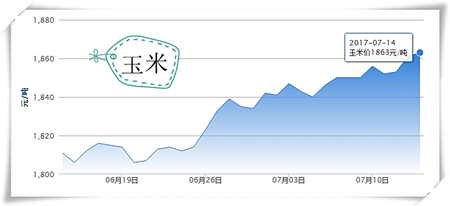 7月14日猪评：全国大部进入高温期 猪价在14元涨跌两难