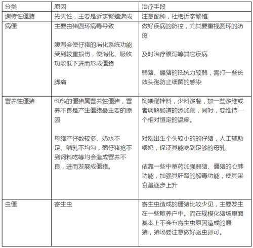 弱猪、僵猪只能淘汰？巧用这几招，僵猪也能满血复活