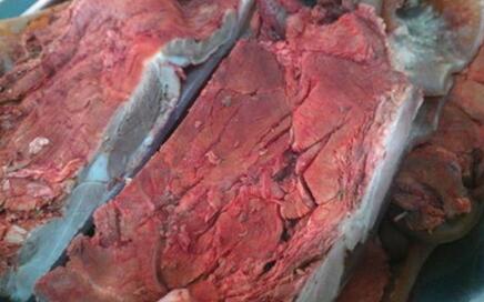 老母猪"猪婆肉"充鲜肉,湖南株洲民警现场查扣母猪肉