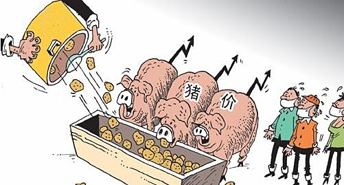 农业部预测:下半年猪市将逐步回暖