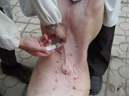 仔猪腹腔补液技术图文详解