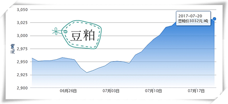 7月20日猪评：自繁自养盈利不足300元 后期猪价难大幅上涨