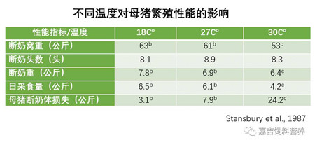 夏季，跟母猪热应激说再见！