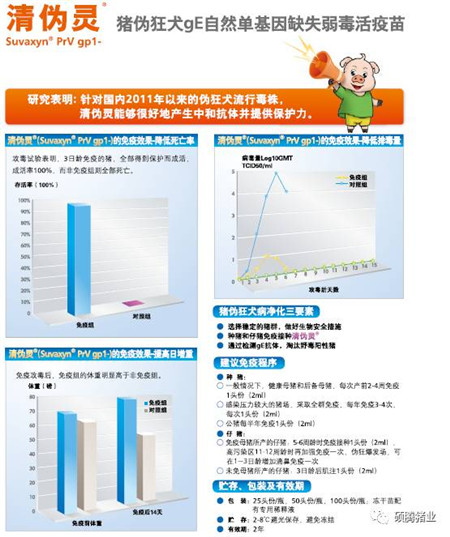 要想猪场的“发动机”发挥其最大的生产性能，这些点你必须得get到！！！