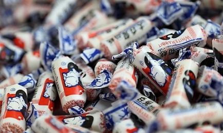 我是怎么养猪失败的 看哭了70年代的养猪人!