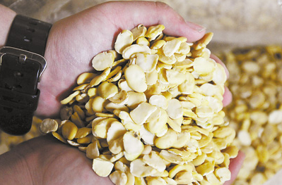 “东峰粕”:别因猪价下跌而放弃采购豆粕