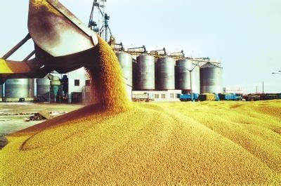 2017猪肉价格下行,抵御风险中小散户怎么办?