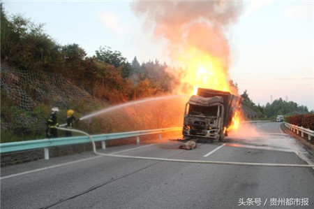 大货车失火,九十六头生猪葬身火海,都是它惹的祸!
