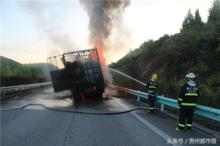 大货车失火,九十六头生猪葬身火海,都是它惹的祸!