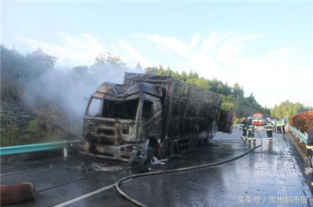 大货车失火,九十六头生猪葬身火海,都是它惹的祸!