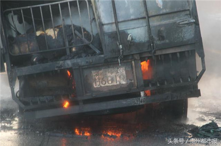 大货车失火,九十六头生猪葬身火海,都是它惹的祸!