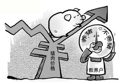 未来三年,将有60%的养猪人会被淘汰,出路在哪里?