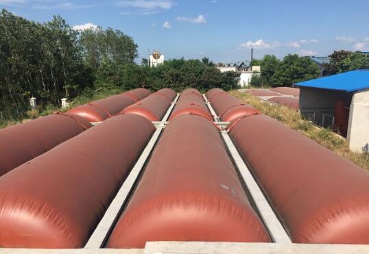 北方一养猪百强县养户直言:环保不弄好,哪都不去!