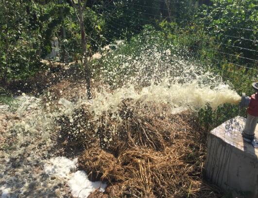 北方一养猪百强县养户直言:环保不弄好,哪都不去!