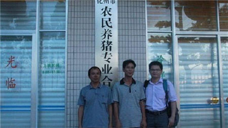 用二十年的亲身经历告诉你,养猪是真的可以赚钱!