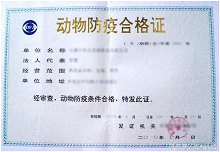 以为创办猪场简单？你想过这些问题没？养猪人不易