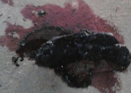 如何从粪便鉴别猪病,收藏起来不用请兽医