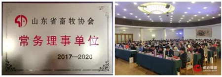 德州傲新育种有限公司当选山东省畜牧协会第五届理事会常务理事单位；德州傲新总经理官森当选常务理事