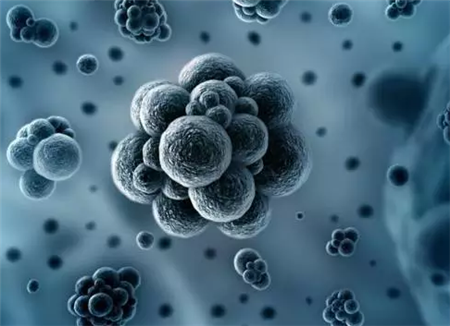 猪只疫病防控形势都这么严峻了！你还蒙在鼓里？！