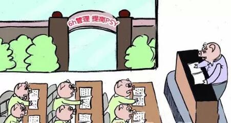 不论你有多少头母猪,你都要知道这四个类型场长