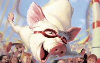 现在猪价偏低,那就得想偏门技巧增大利润了