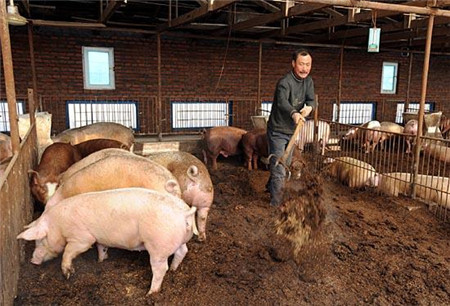 他们有的成了富裕户 有的成了贫困户 差距为何这么大