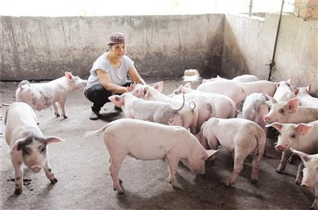 他们有的成了富裕户 有的成了贫困户 差距为何这么大