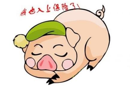 无需换算，低于某一猪价，保险公司一天内就将理赔