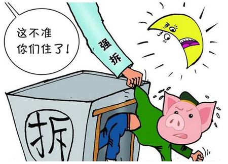 江门两个猪场拒不拆迁，村民与猪场展开了拉锯战