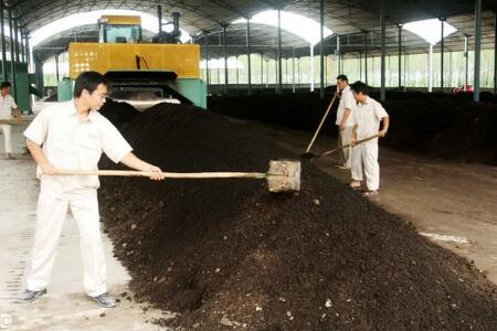 养猪技术，看猪粪便判断猪的健康！