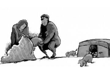 怀疑他人卖不良猪种 父子俩报复盗窃猪仔受处罚