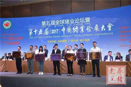 2017年养猪人的最终出路到底在哪里?