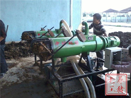 2017年养猪人的最终出路到底在哪里?